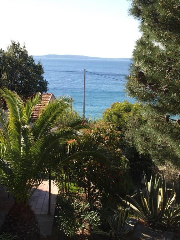 Les Lauriers Roses Aparthotel Le Le Rayol-Canadel-sur-Mer Ngoại thất bức ảnh